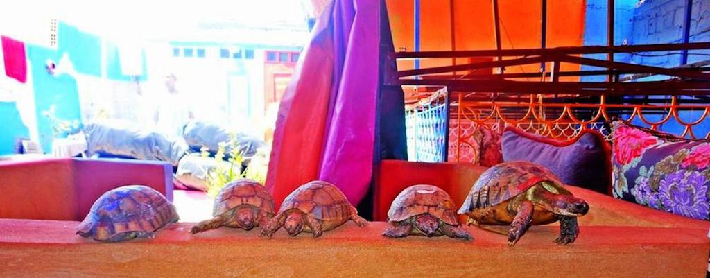 منزل الضيف مراكش  في Rainbow Marrakech المظهر الخارجي الصورة